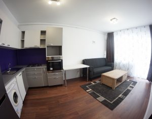 Appartement 2 chambres à louer dans Cluj-napoca