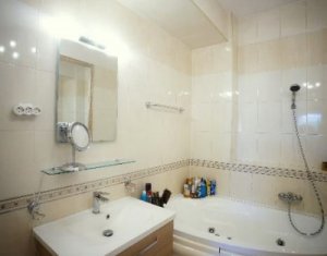 Appartement 2 chambres à louer dans Cluj-napoca, zone Andrei Muresanu
