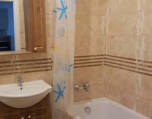 Appartement 1 chambres à louer dans Cluj-napoca, zone Andrei Muresanu