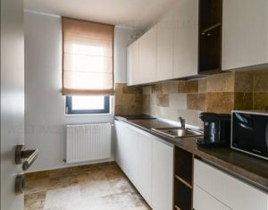 Appartement 3 chambres à louer dans Cluj-napoca, zone Gheorgheni