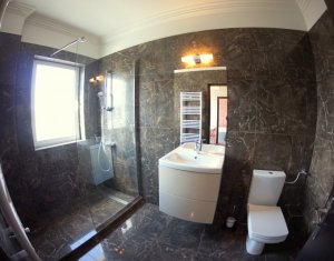 Appartement 1 chambres à louer dans Cluj-napoca, zone Gheorgheni