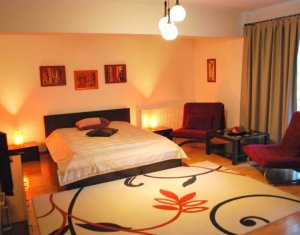 Appartement 1 chambres à louer dans Cluj-napoca, zone Plopilor