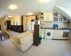 Appartement 3 chambres à louer dans Cluj-napoca, zone Andrei Muresanu
