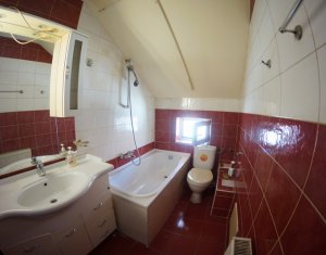 Appartement 3 chambres à louer dans Cluj-napoca, zone Andrei Muresanu