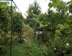 Ház 2 szobák eladó on Cluj-napoca, Zóna Dambul Rotund