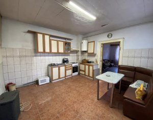 Maison 3 chambres à vendre dans Cluj-napoca, zone Centru
