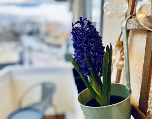 Appartement 2 chambres à vendre dans Cluj-napoca, zone Centru