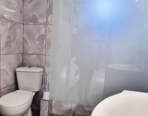 Appartement 3 chambres à louer dans Cluj-napoca, zone Intre Lacuri