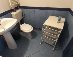 Appartement 1 chambres à louer dans Cluj-napoca, zone Centru