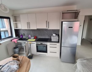 Appartement 3 chambres à louer dans Cluj-napoca, zone Centru