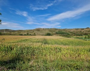 , 5000m2 dans Sacalaia, zone Centru