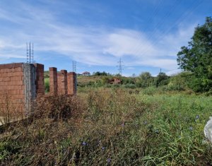 Terrain à vendre dans Sacalaia