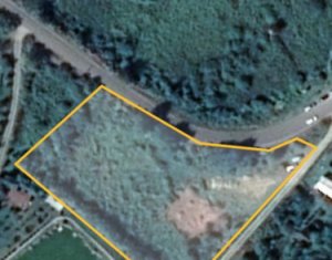 Terrain à vendre dans Sacalaia