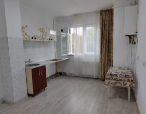 Appartement 1 chambres à louer dans Cluj-napoca, zone Gruia