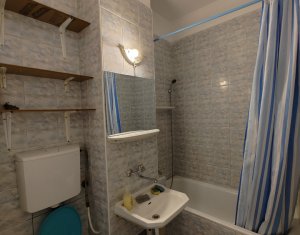 Appartement 1 chambres à louer dans Cluj-napoca, zone Gruia