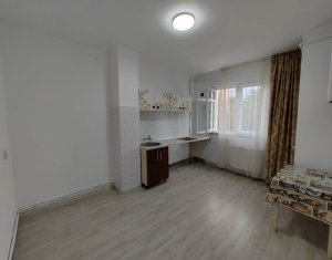 Appartement 1 chambres à louer dans Cluj-napoca, zone Gruia