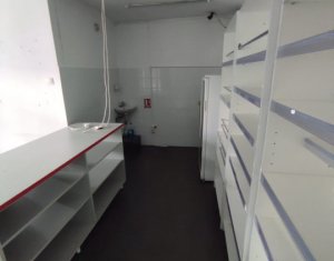 Appartement 1 chambres à louer dans Cluj-napoca, zone Manastur