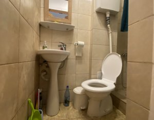 Appartement 1 chambres à vendre dans Cluj-napoca, zone Centru