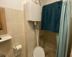 Appartement 1 chambres à vendre dans Cluj-napoca, zone Centru