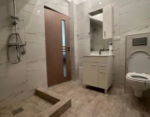 Maison 3 chambres à louer dans Cluj-napoca