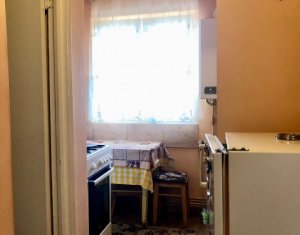 Appartement 1 chambres à louer dans Cluj-napoca