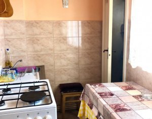 Appartement 1 chambres à louer dans Cluj-napoca