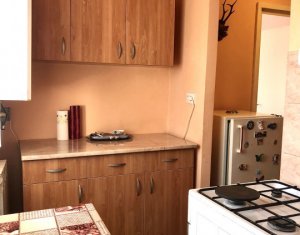 Appartement 1 chambres à louer dans Cluj-napoca