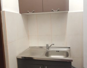 Appartement 2 chambres à louer dans Cluj-napoca