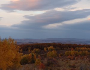 Maison 6 chambres à vendre dans Salicea