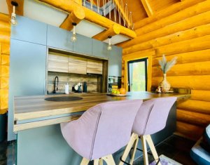 Maisons de vacances à vendre dans Rasca, zone Centru