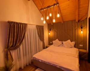 Maisons de vacances à vendre dans Rasca, zone Centru