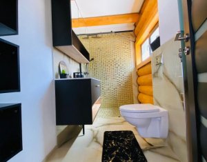 Maisons de vacances à vendre dans Rasca, zone Centru