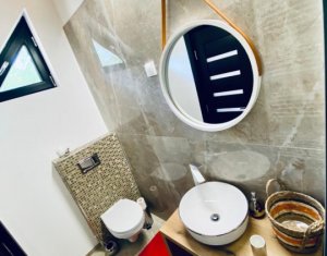 Maisons de vacances à vendre dans Rasca, zone Centru