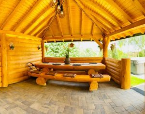 Maisons de vacances à vendre dans Rasca, zone Centru