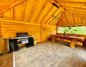 Maisons de vacances à vendre dans Rasca, zone Centru