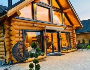 Maisons de vacances à vendre dans Rasca, zone Centru