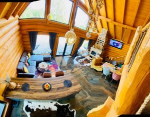 Maisons de vacances à vendre dans Rasca, zone Centru