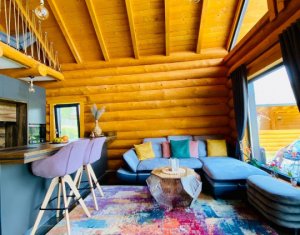 Maisons de vacances à vendre dans Rasca, zone Centru