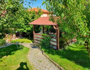 Maison 5 chambres à vendre dans Chinteni