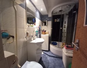 Appartement 2 chambres à louer dans Cluj-napoca