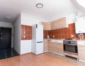 Lakás 1 szobák kiadó on Cluj-napoca, Zóna Dambul Rotund