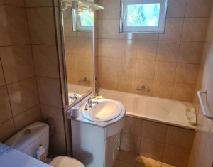 Appartement 3 chambres à louer dans Cluj-napoca, zone Andrei Muresanu