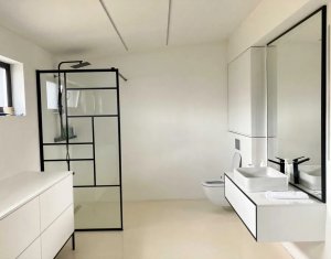 Maison 5 chambres à louer dans Cluj-napoca, zone Iris