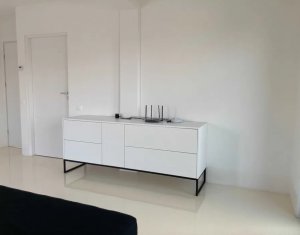 Maison 5 chambres à louer dans Cluj-napoca, zone Iris
