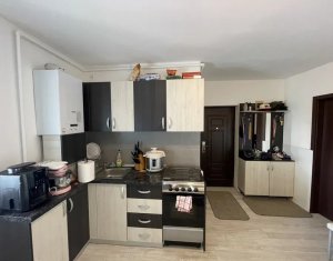 Appartement 2 chambres à vendre dans Cluj-napoca, zone Dambul Rotund