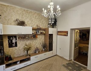 Maison 2 chambres à vendre dans Cluj-napoca, zone Gruia