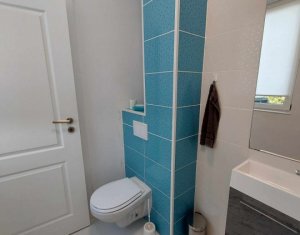 Maison 4 chambres à louer dans Cluj-napoca, zone Borhanci