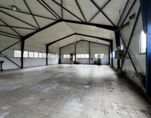 Industrial space for rent, 414m2 in Floresti