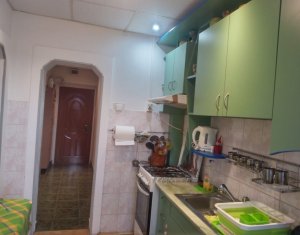 Appartement 2 chambres à louer dans Cluj-napoca