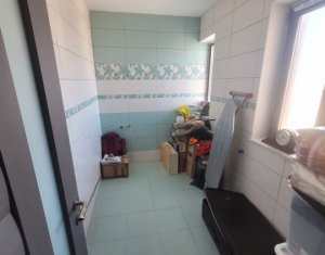 Maison 4 chambres à vendre dans Dezmir, zone Centru